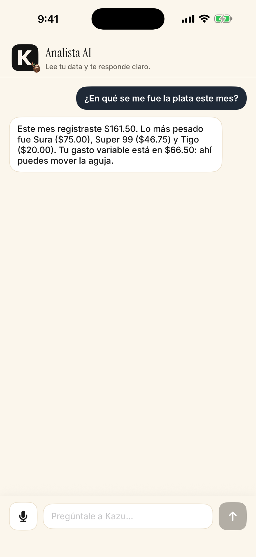 Kazu analista AI leyendo gastos